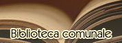 Biblioteca comunale
