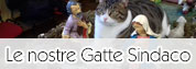 Le Nostre Gatte Sindaco